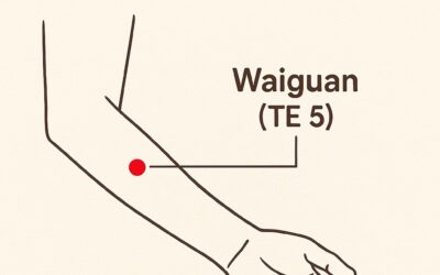 🌿 TH5 – Waiguan: The Outer Gate to Immunity, Balance, and Relief