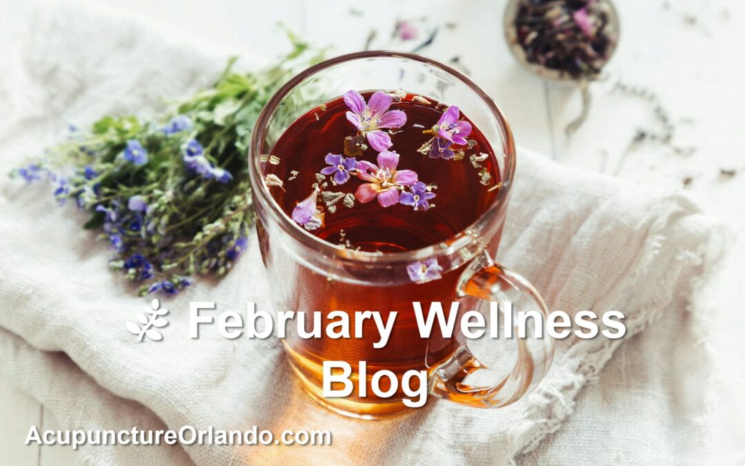 Herbal Teas & Hydration Tips for Post‑Session Recovery