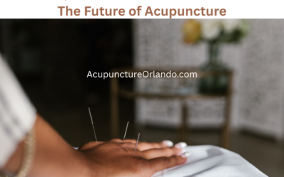 🌿 Holistic, Patient‑Centered Care Models: The Future of Acupuncture