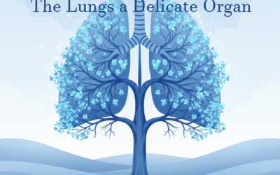 Supporting Your Lungs Naturally During Cold & Flu Season