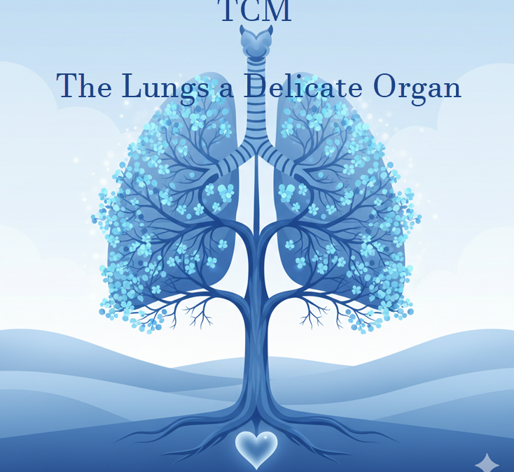 Supporting Your Lungs Naturally During Cold & Flu Season